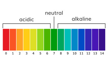 Marion and Acid-Base Balance
